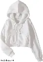 28911.webp
